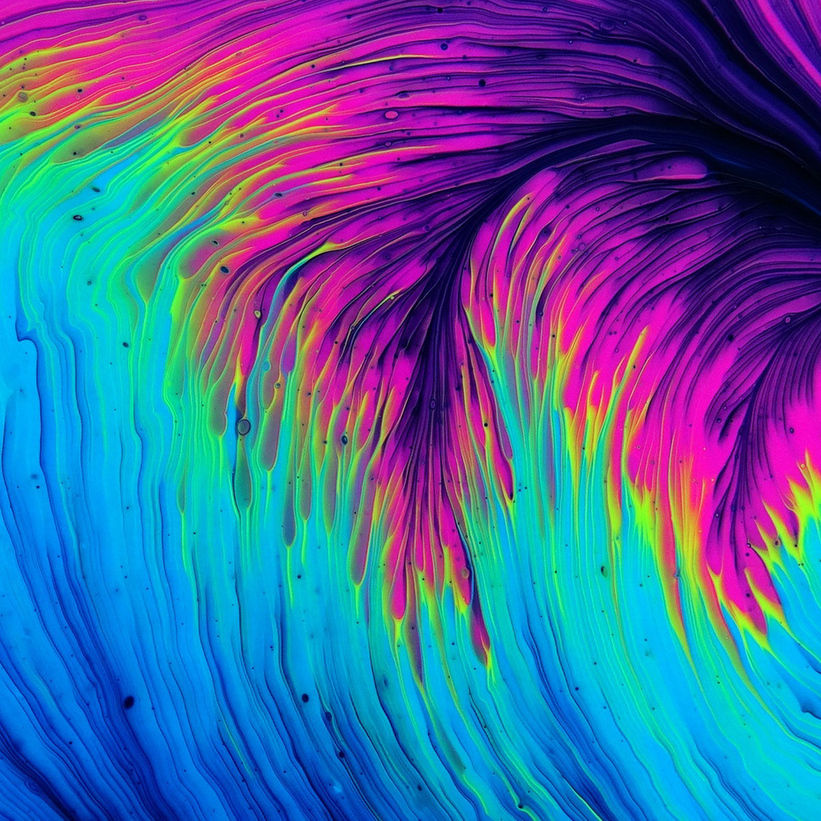 Fondo categoría: Wallpapers