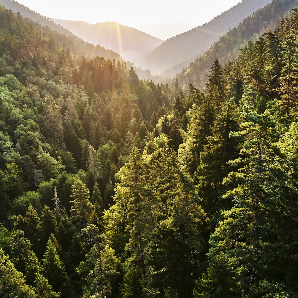 Fondo categoría: Paisajes